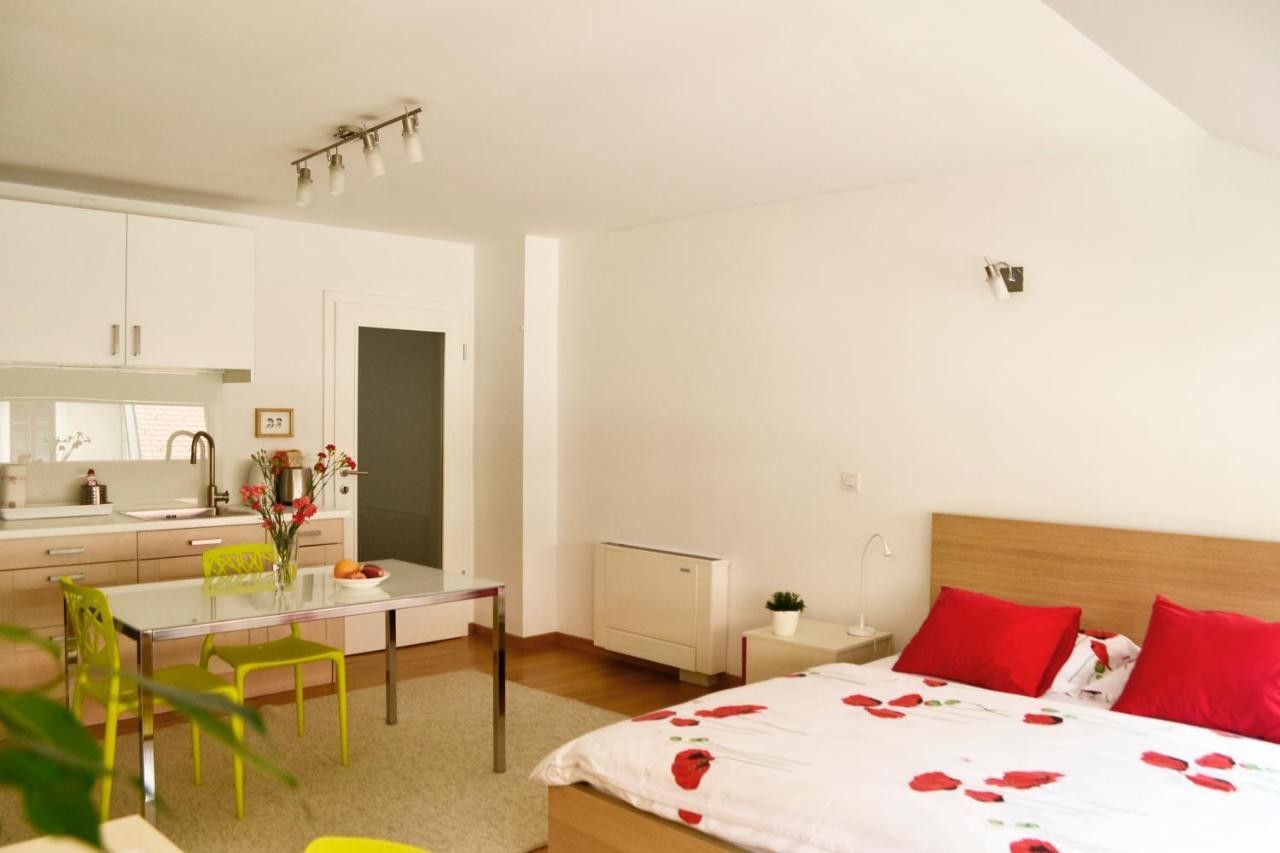Studio In Ljubljana Center מראה חיצוני תמונה